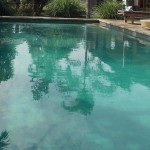 Lili House Ubud Swimming Pool